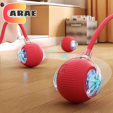 Interactive Toy for Cats - Automatic Ball with Tail, Rechargeable, Smart and Fun for Entertainment