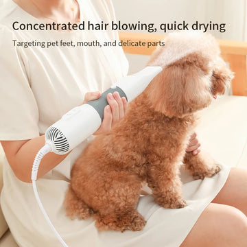3 in 1 Kit for Pets - Silent Dryer for Dogs with Brush, Comb for Cats and Dogs, Low Noise and Temperature Control