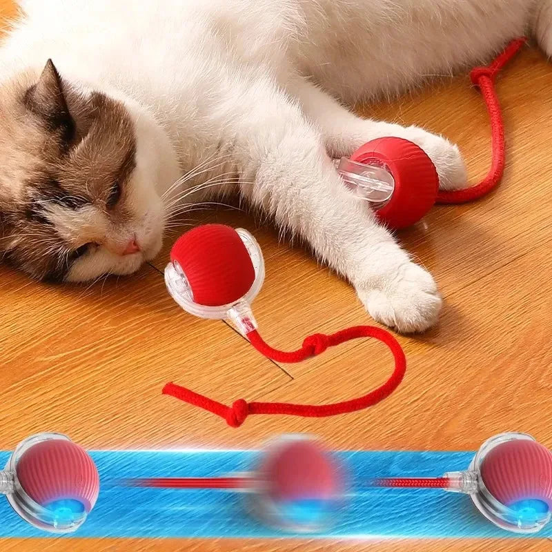 Smart Toy for Pets - Automatic Ball with Fake Tail, Electric Recharge, Interactive for Dogs and Cats